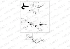Taillight - Indicators