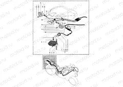 Taillight - Indicators