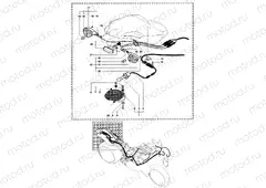 Taillight - Indicators