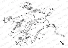 TAILLIGHT » LIGHTING SYSTEM