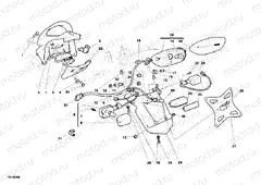 TAILLIGHT » LIGHTING SYSTEM