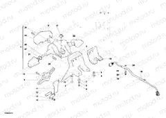 TAILLIGHT » LIGHTING SYSTEM