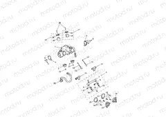 Throttle Bodies