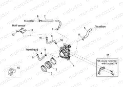 Throttle body