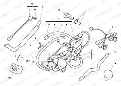 THROTTLE BODY » INTAKE, CARBURETTOR