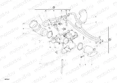 THROTTLE BODY » INTAKE, CARBURETTOR