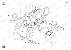 THROTTLE BODY » INTAKE, CARBURETTOR