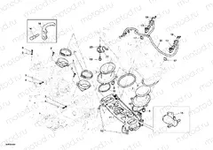 THROTTLE BODY » INTAKE, CARBURETTOR