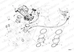 THROTTLE BODY » INTAKE, CARBURETTOR