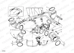THROTTLE BODY » INTAKE, CARBURETTOR