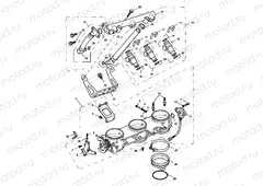 Throttles, Injectors 207554