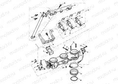 Throttles, Injectors 207555