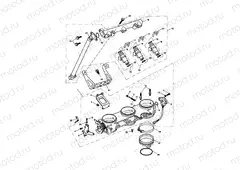 Throttles/Injectors and Fuel Rail 207555 >