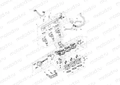 Throttles,Injectors & Fuel Rail