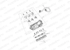 Throttles,Injectors & Fuel Rail