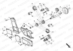 TIMING BELT » UNCLASSIFIED