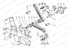 TIMING BELT » UNCLASSIFIED