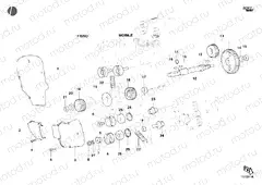 TIMING BELT » UNCLASSIFIED