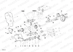 TIMING BELT » UNCLASSIFIED