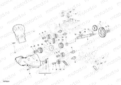 TIMING BELT » UNCLASSIFIED
