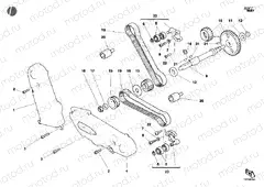 TIMING BELT » UNCLASSIFIED