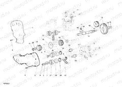 TIMING BELT » UNCLASSIFIED