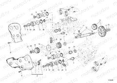 TIMING BELT » UNCLASSIFIED
