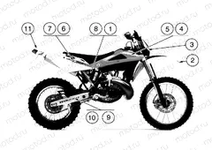 TRANSFERS R/W (EU)