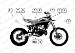 TRANSFERS Y/B (USA)