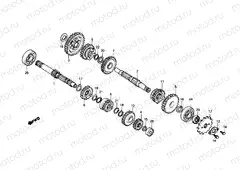 Transmission (Areas AR, B, E, G, N, 2S)