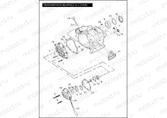 TRANSMISSION BEARINGS & COVERS