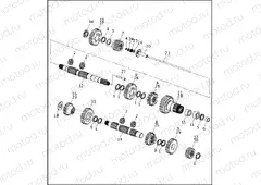 TRANSMISSION GEARS