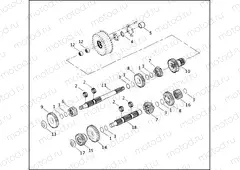 TRANSMISSION GEARS
