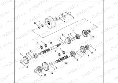 TRANSMISSION GEARS