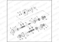 TRANSMISSION GEARS