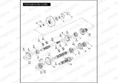 TRANSMISSION GEARS
