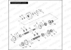 TRANSMISSION GEARS