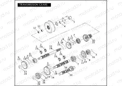 TRANSMISSION GEARS