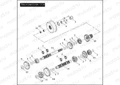 TRANSMISSION GEARS