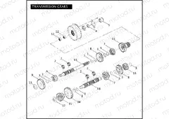 TRANSMISSION GEARS