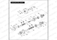 TRANSMISSION GEARS