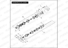 TRANSMISSION GEARS