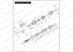 TRANSMISSION GEARS