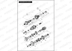 TRANSMISSION GEARS
