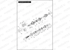 TRANSMISSION GEARS