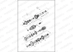 TRANSMISSION GEARS