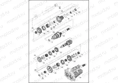 TRANSMISSION GEARS