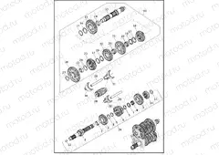TRANSMISSION GEARS