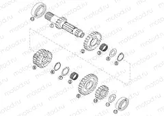 TRANSMISSION I - MAIN SHAFT