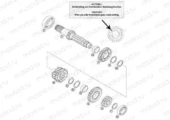 TRANSMISSION I - MAIN SHAFT